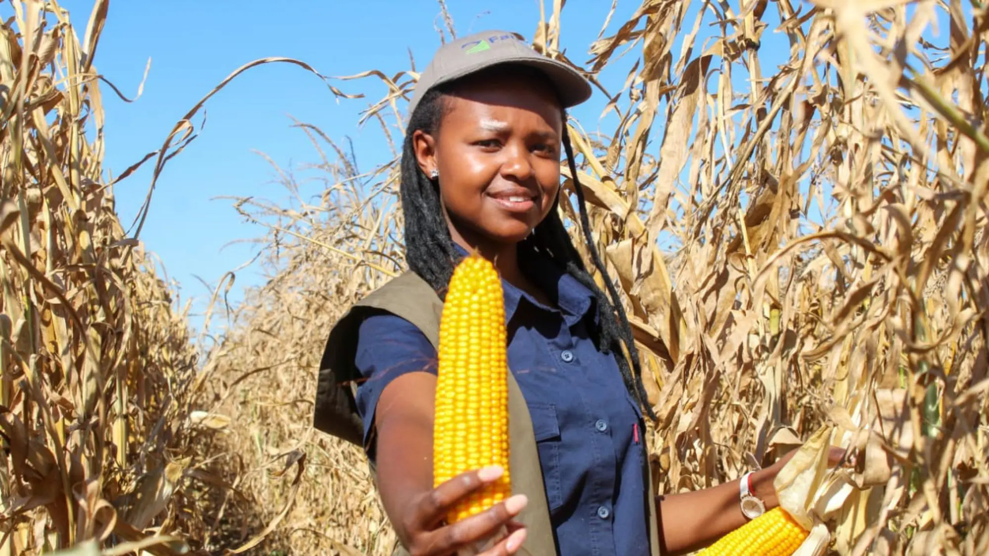 Average Farmer Salary