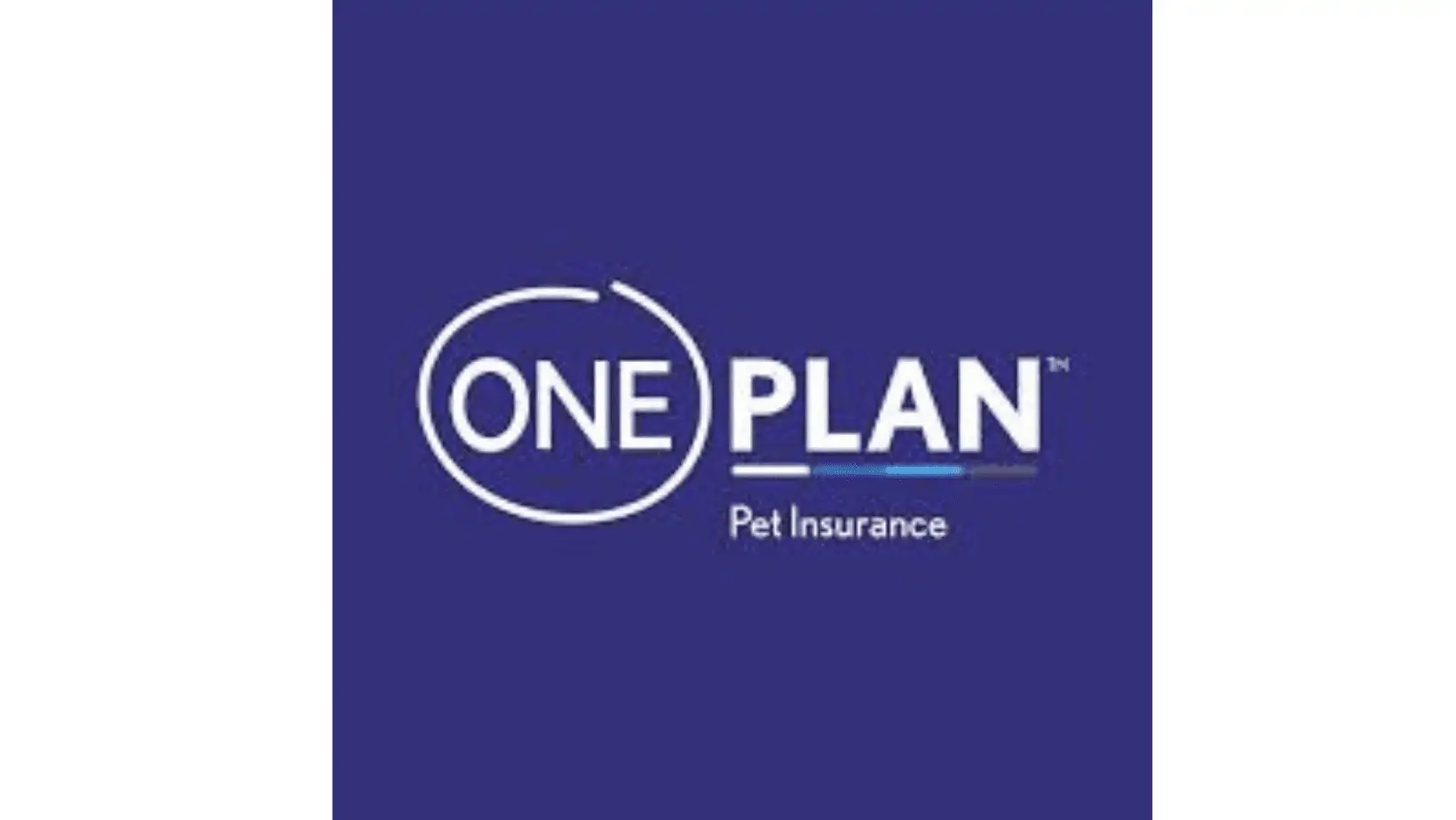 is-pet-insurance-worth-it-for-dogs